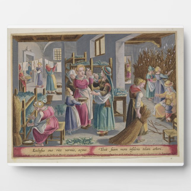 Die Eier schlucken in Würmer, sie werden durch Fotoplatte (Vorderseite)