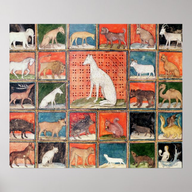 Die Eigenschaften der Tiere: Die Säugetiere Poster (Vorne)
