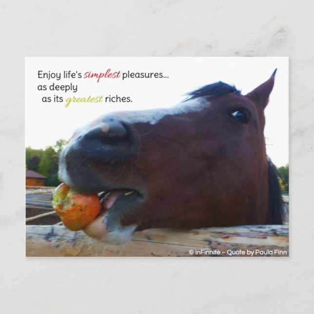 Die einfachsten Freuden des Lebens.. Postkarte (Vorderseite)