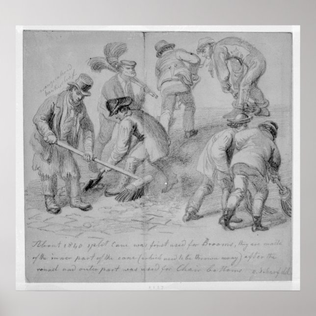 Die Einführung von Splitterrassen Poster (Vorne)