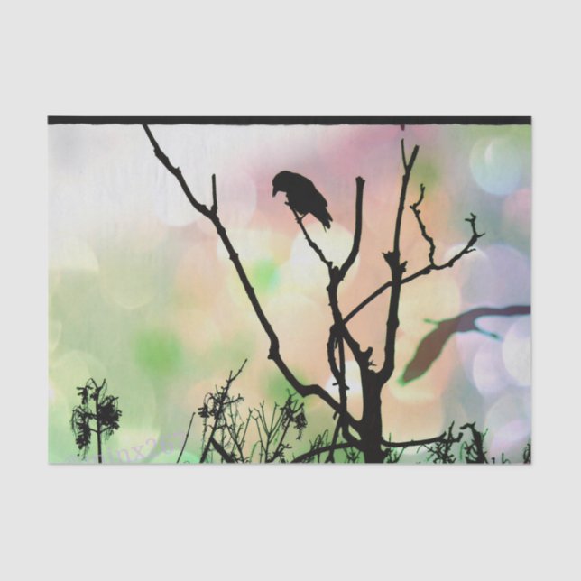 Die einsame Klaue Seidenpapier (Vorderseite)