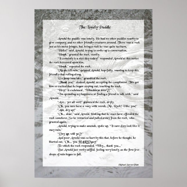 Die einsame Puddle-Poster-Geschichte Poster (Vorne)