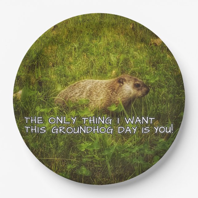 Die einzige Sache will ich dieser Groundhog Pappteller (Vorderseite)