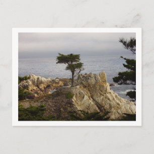 Die einzige Zypern-Postkarte Postkarte