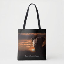 Die Elefanten gerettet