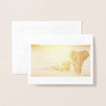 Die Elefantenfolienkarte gerettet