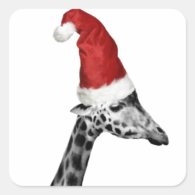 Die Elegance der WeihnachtsGiraffe Quadratischer Aufkleber (Vorderseite)