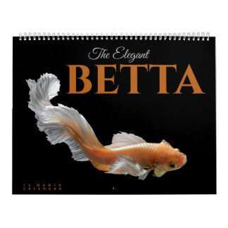 Die elegante Betta Kalender