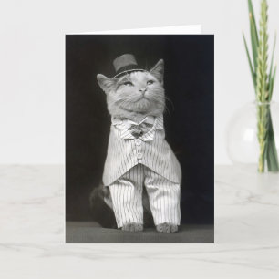 Die elegante Katze, 1906 Karte