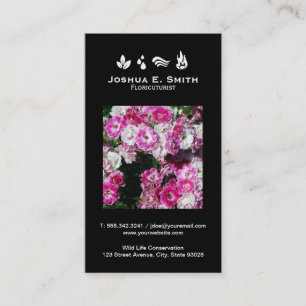 Die Elemente   Umwelt V Visitenkarte