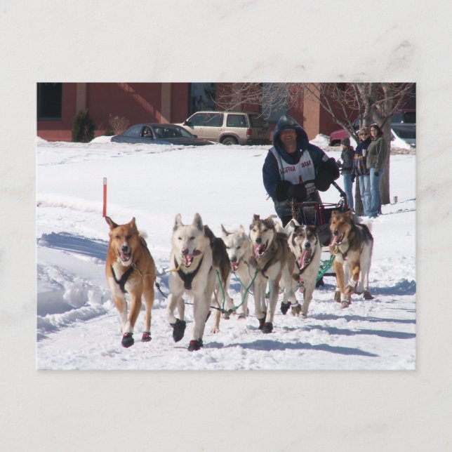 Die endgültige Postkarte (Vorderseite)