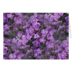 Die endlosen Azaleen