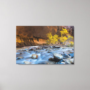 Die Engstelle des Virgin River im Herbst Leinwanddruck