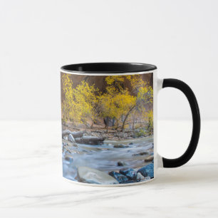 Die Engstelle des Virgin River im Herbst Tasse