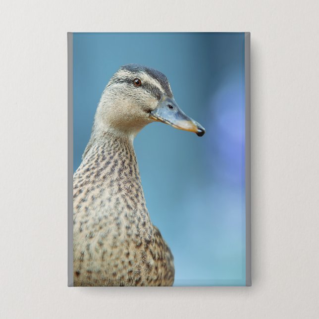 die Enten  Button (Vorderseite)