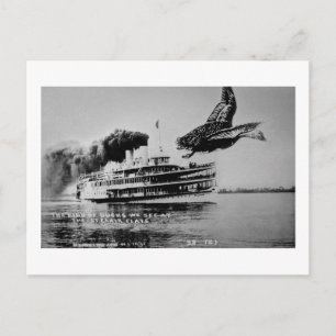 Die Enten, die wir sehen Postkarte