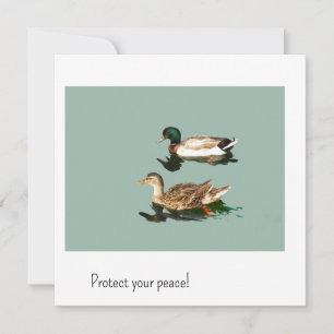 Die Enten. Schützen Sie Ihren Frieden