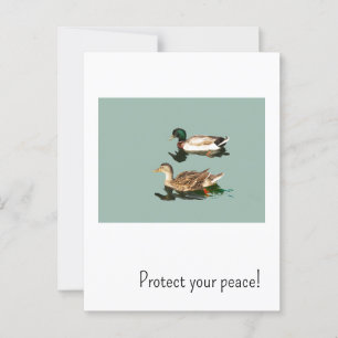 Die Enten. Schützen Sie Ihren Frieden Postkarte