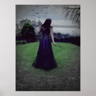 Die entgangene Entschließung Poster