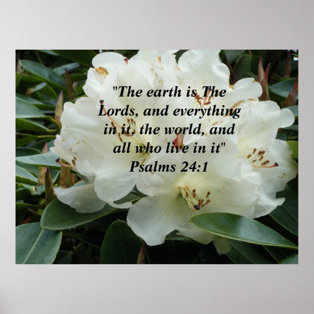 Die Erde ist die Lords ~Print~ Poster (Vorne)