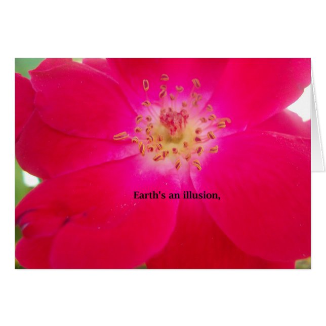 Die Erde ist eine Illusion (Vorderseite (Horizontal))