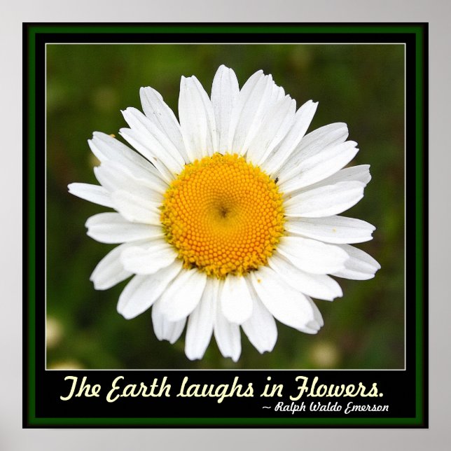 Die Erde lacht in Blume Poster (Vorne)