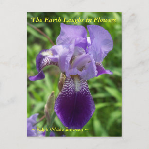 DIE ERDLAGEN IN BLUME - IRIS POSTKARTE