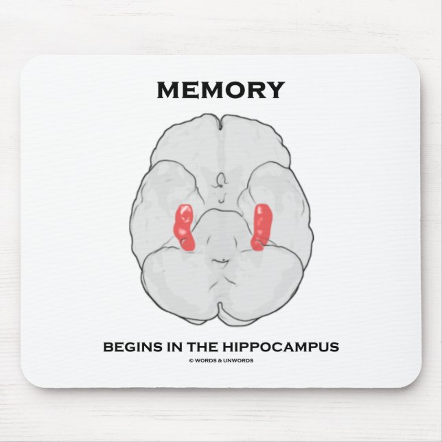 Die Erinnerung beginnt im Hippocampus (Psychologie Mousepad (Vorne)