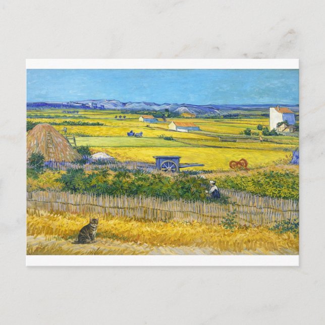 Die Erntekatze Postkarte (Vorderseite)