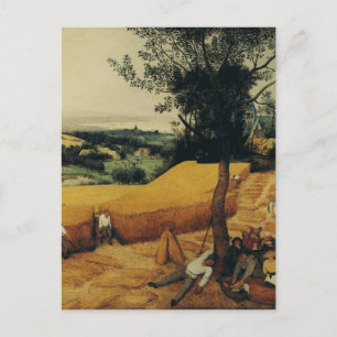 Die Erntenden von Pieter Brueghel dem Älteren Postkarte