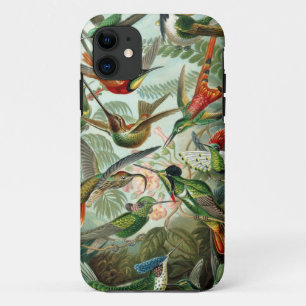 Die erstaunlichen Kolibris Bild von Ernst Haeckel Case-Mate iPhone Hülle