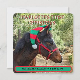 Die erste Geburtserklärung des Babys zu Weihnachte