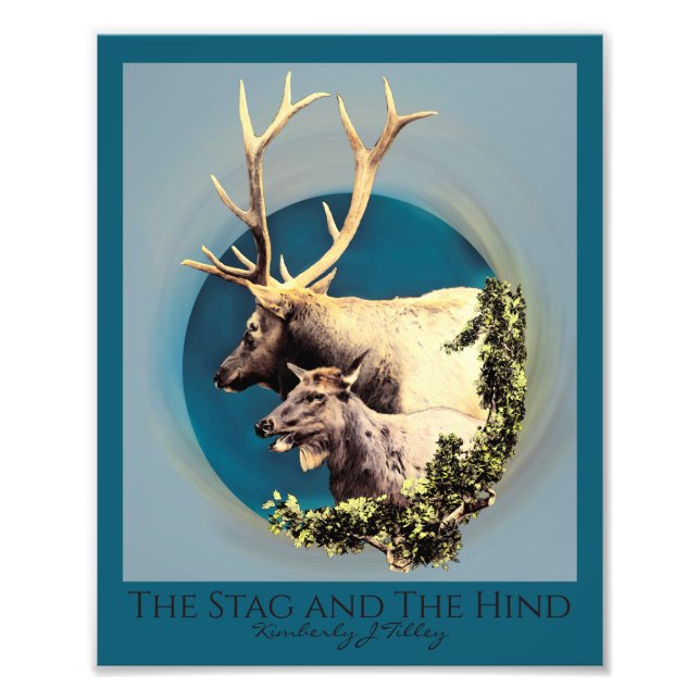 Die Erweiterung von Stag und Hind Foto (Vorne)