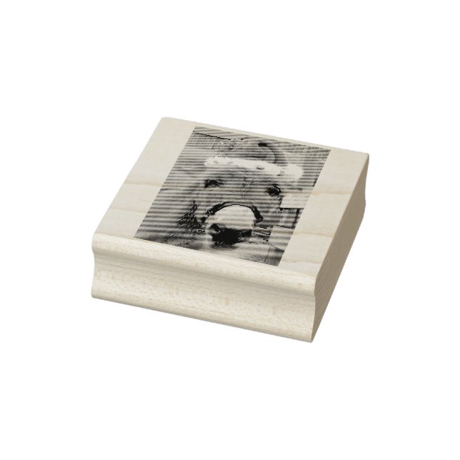 "Die Esel machen große Santas!" Gummistempel (Stempel)