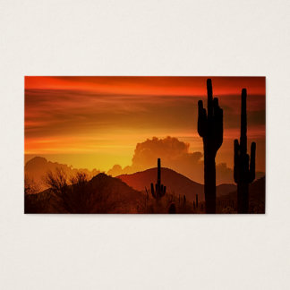 Die Essenz des Südwestens