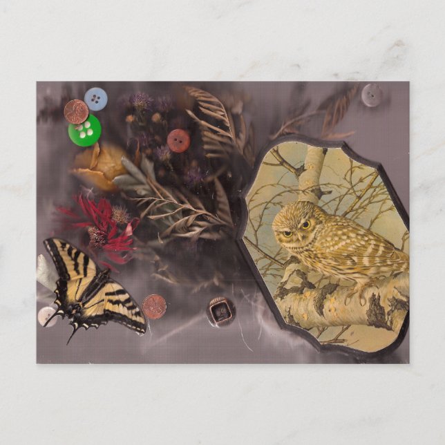 die Eule und der Schmetterling Postkarte (Vorderseite)