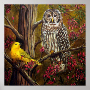 Die Eule und die Kanarischen Inseln Poster