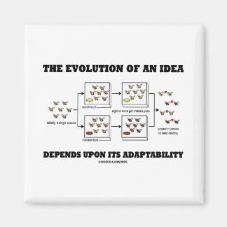 Die Evolution einer Idee hängt von der Anpassungsf Magnet