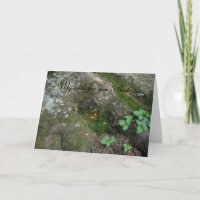 "Die Fairy war Zuhause"