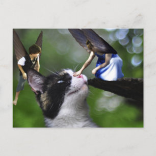 Die Fairys und die Kätzchen-Postkarte Postkarte