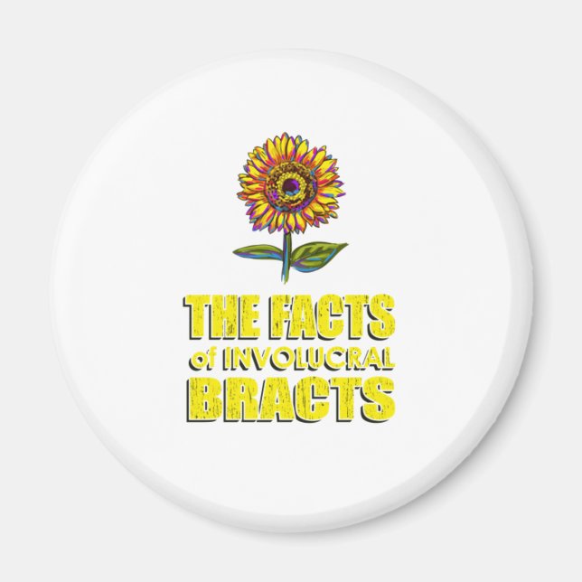 Die Fakten der involutionären Bänder - Sonnenflut  Magnet (Vorne)