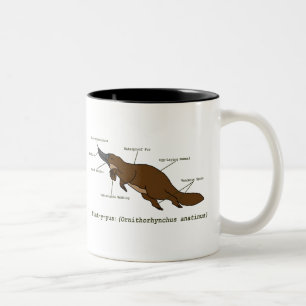 Die fantastische Platypus Tasse