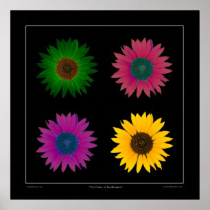 "Die Farbe der Sonnenblumen" Designer-Plakat auf Poster