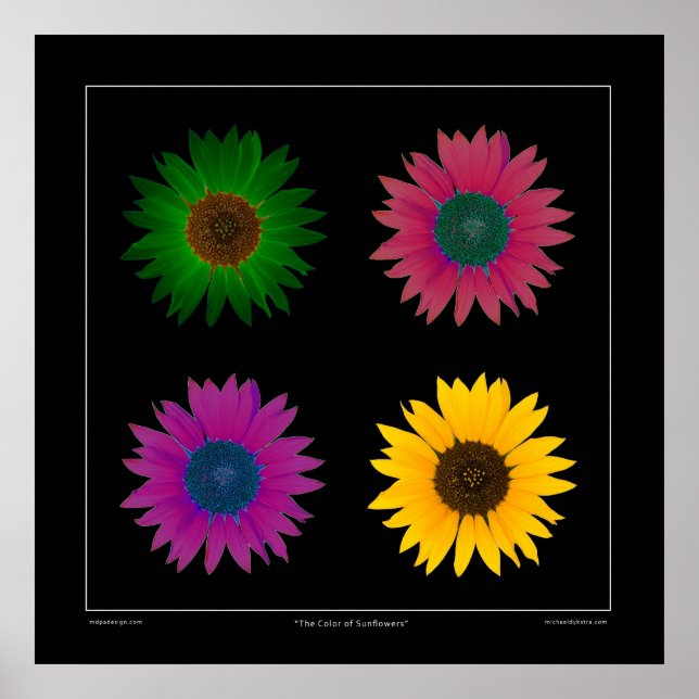 "Die Farbe der Sonnenblumen" Designer Poster auf s (Vorne)