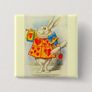 Die Farbe des weißen Kaninchens Button