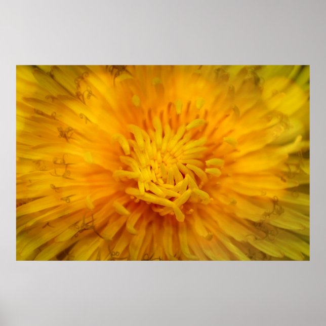 Die Farbe Gelb Poster (Vorne)