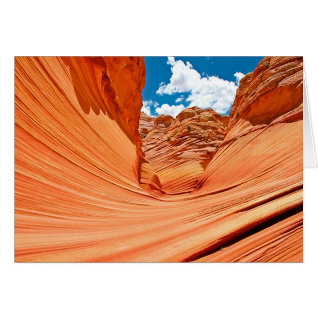 Die Farben der Welle (Vorderseite (Horizontal))