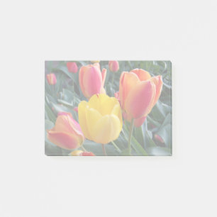 Die Farben des eigenen Fotos Post-it Klebezettel