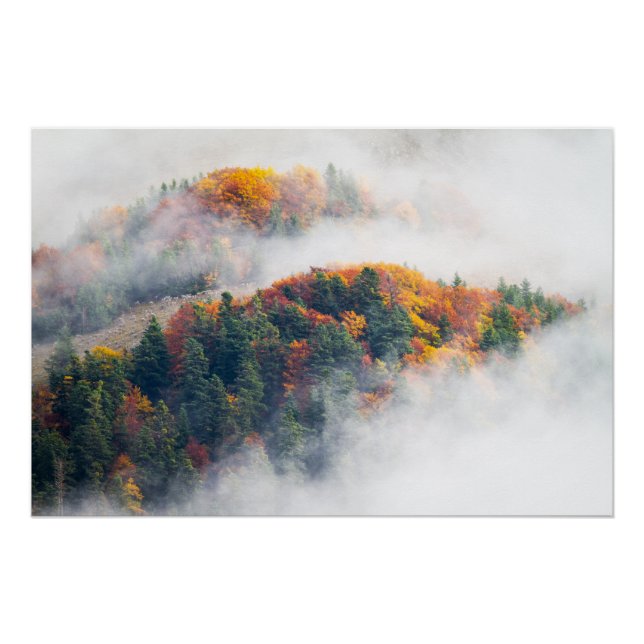 Die Farben des Herbstes in den Alpen Poster (Vorderseite)