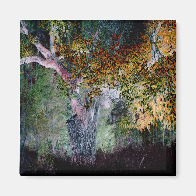 Die Farben des Herbstes.... Magnet (Vorne)